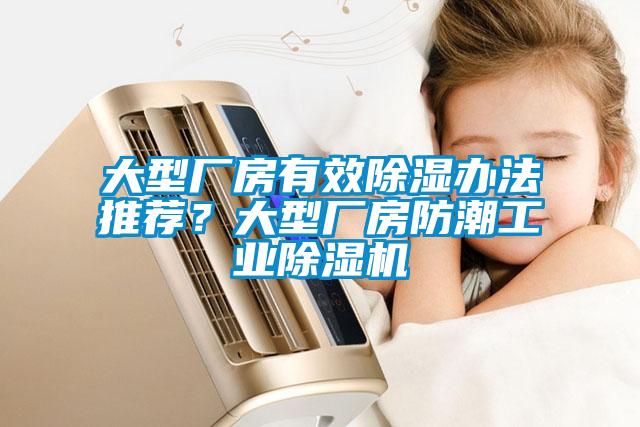 大型廠房有效除濕辦法推薦？大型廠房防潮工業除濕機