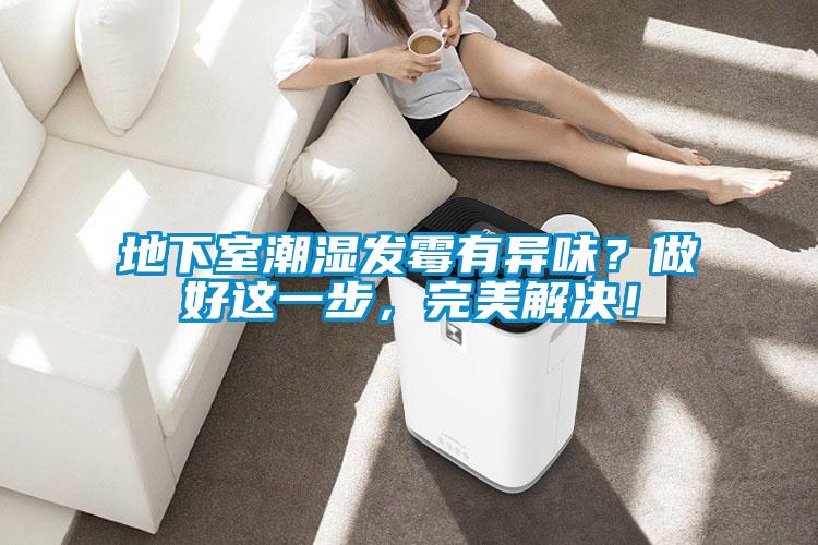 地下室潮濕發霉有異味？做好這一步，完美解決！