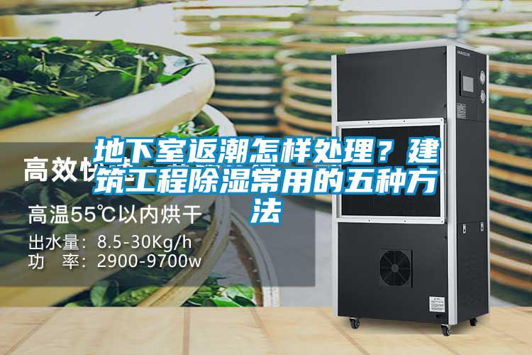 地下室返潮怎樣處理？建筑工程除濕常用的五種方法