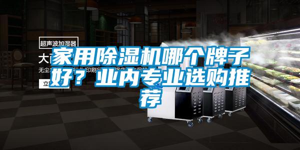 家用除濕機哪個牌子好？業內專業選購推薦