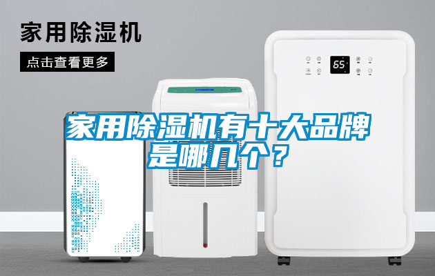 家用除濕機有十大品牌是哪幾個？