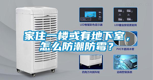 家住一樓或有地下室，怎么防潮防霉？