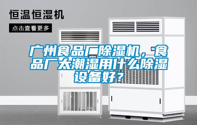 廣州食品廠除濕機，食品廠太潮濕用什么除濕設備好？