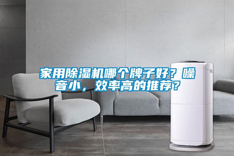 家用除濕機哪個牌子好？噪音小，效率高的推薦？