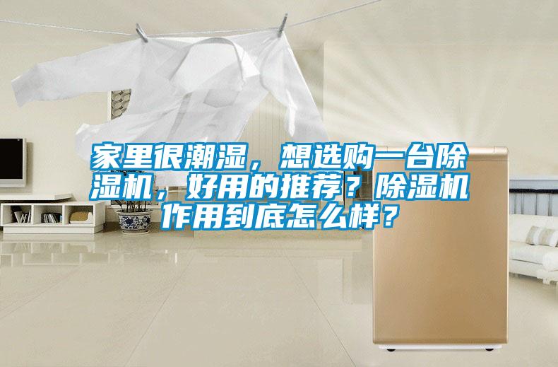 家里很潮濕，想選購一臺除濕機，好用的推薦？除濕機作用到底怎么樣？