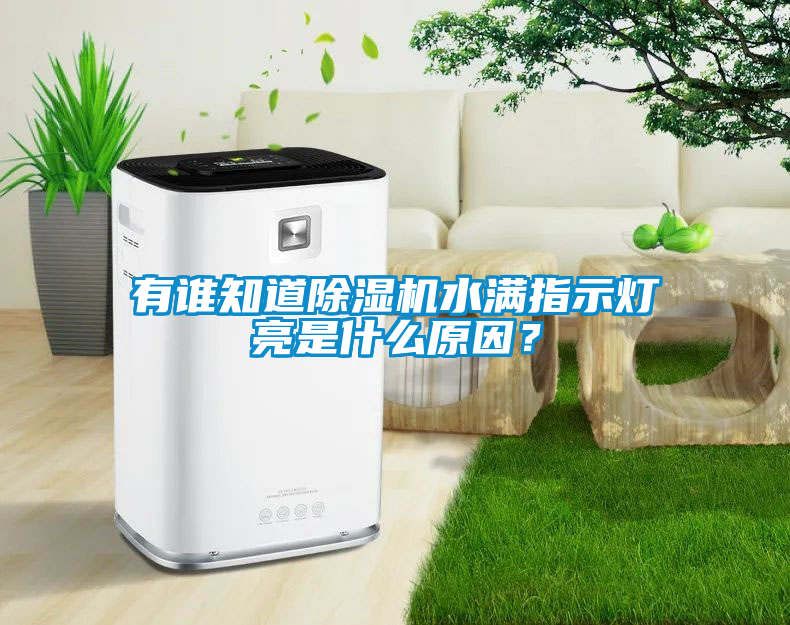 有誰知道除濕機水滿指示燈亮是什么原因？