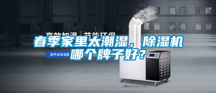 春季家里太潮濕，除濕機哪個牌子好？