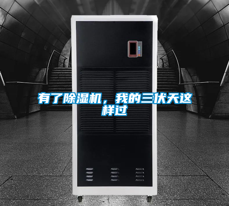 有了除濕機，我的三伏天這樣過