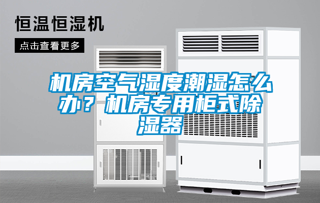 機房空氣濕度潮濕怎么辦？機房專用柜式除濕器