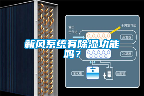 新風系統有除濕功能嗎？