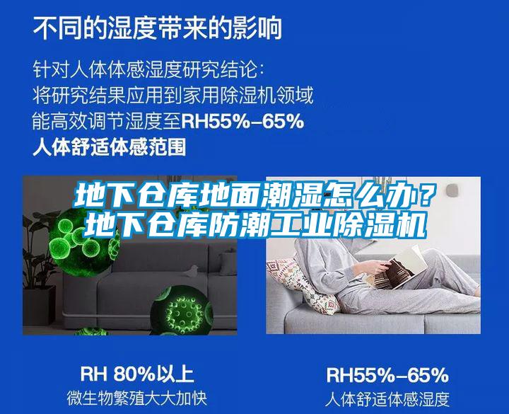 地下倉庫地面潮濕怎么辦？地下倉庫防潮工業除濕機