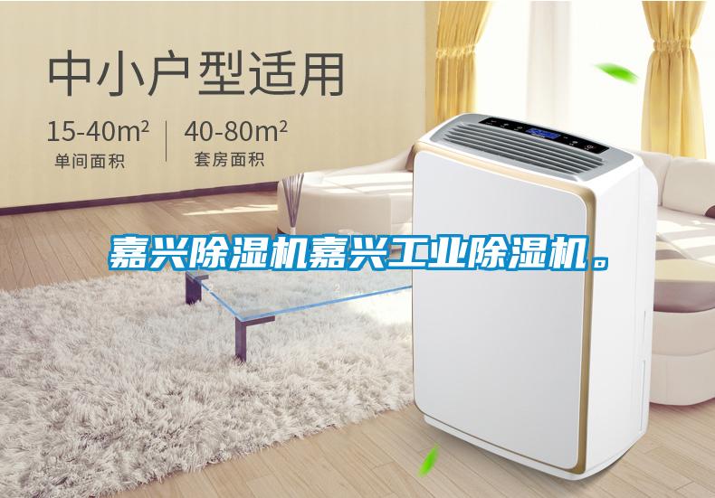嘉興除濕機嘉興工業除濕機。