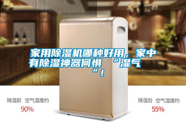 家用除濕機哪種好用，家中有除濕神器何懼 “濕氣 “！