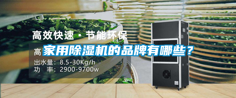 家用除濕機的品牌有哪些？