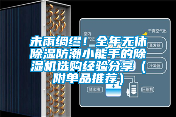未雨綢繆！全年無休除濕防潮小能手的除濕機選購經驗分享（附單品推薦）