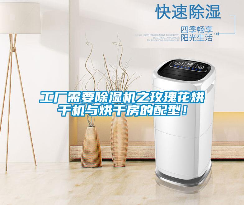 工廠需要除濕機之玫瑰花烘干機與烘干房的配型！