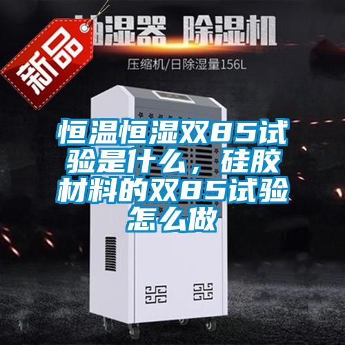 恒溫恒濕雙85試驗是什么，硅膠材料的雙85試驗怎么做
