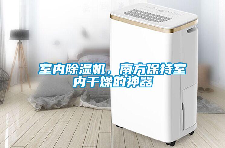 室內除濕機，南方保持室內干燥的神器