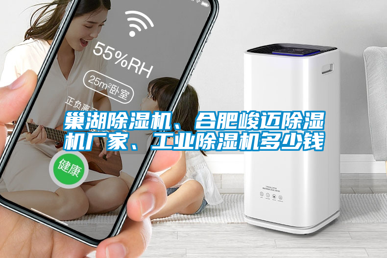 巢湖除濕機、合肥峻邁除濕機廠家、工業除濕機多少錢