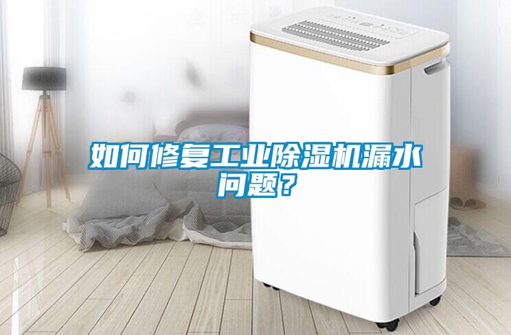 如何修復工業除濕機漏水問題？