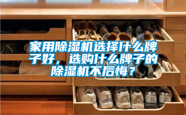 家用除濕機選擇什么牌子好，選購什么牌子的除濕機不后悔？