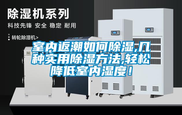 室內返潮如何除濕,幾種實用除濕方法,輕松降低室內濕度！