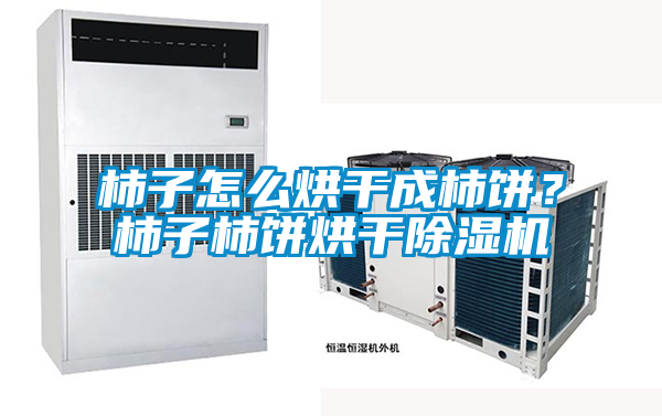 柿子怎么烘干成柿餅？柿子柿餅烘干除濕機