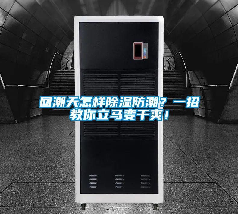 回潮天怎樣除濕防潮？一招教你立馬變干爽！