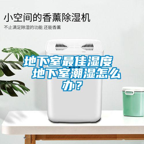 地下室最佳濕度  地下室潮濕怎么辦？