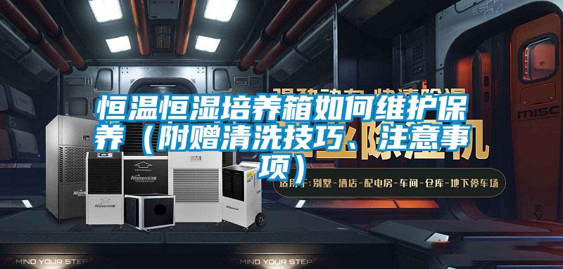 恒溫恒濕培養箱如何維護保養（附贈清洗技巧、注意事項）