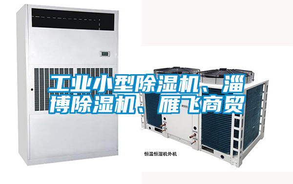 工業小型除濕機、淄博除濕機、雁飛商貿