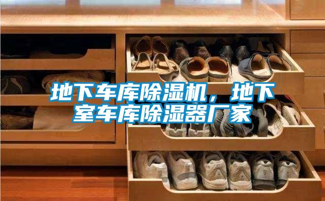 地下車庫除濕機，地下室車庫除濕器廠家