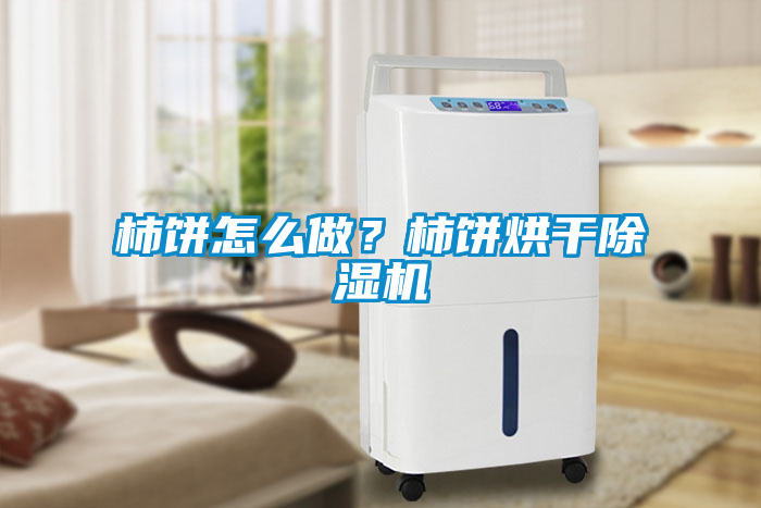 柿餅怎么做？柿餅烘干除濕機