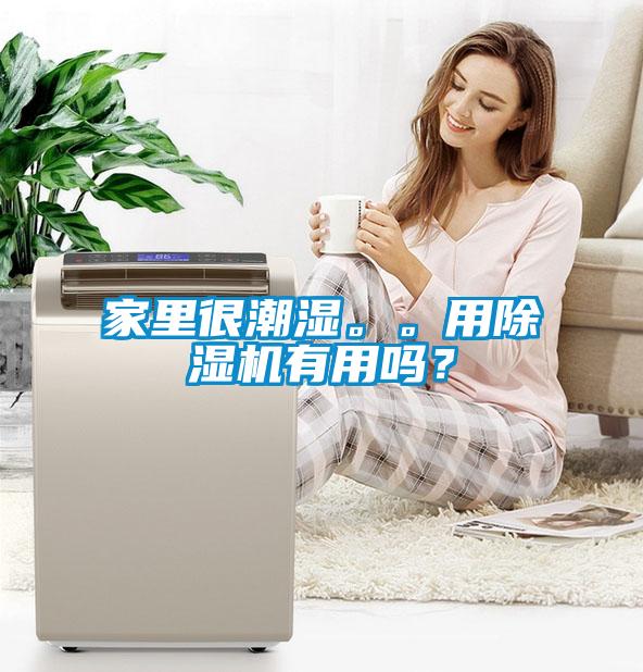 家里很潮濕。。用除濕機有用嗎？