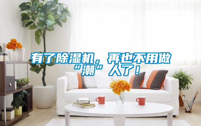 有了除濕機，再也不用做“潮”人了！