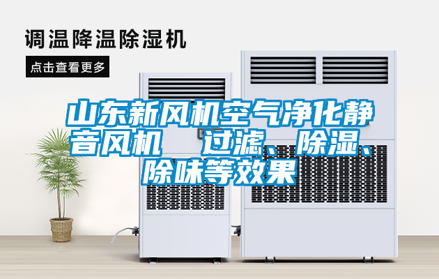 山東新風機空氣凈化靜音風機  過濾、除濕、除味等效果