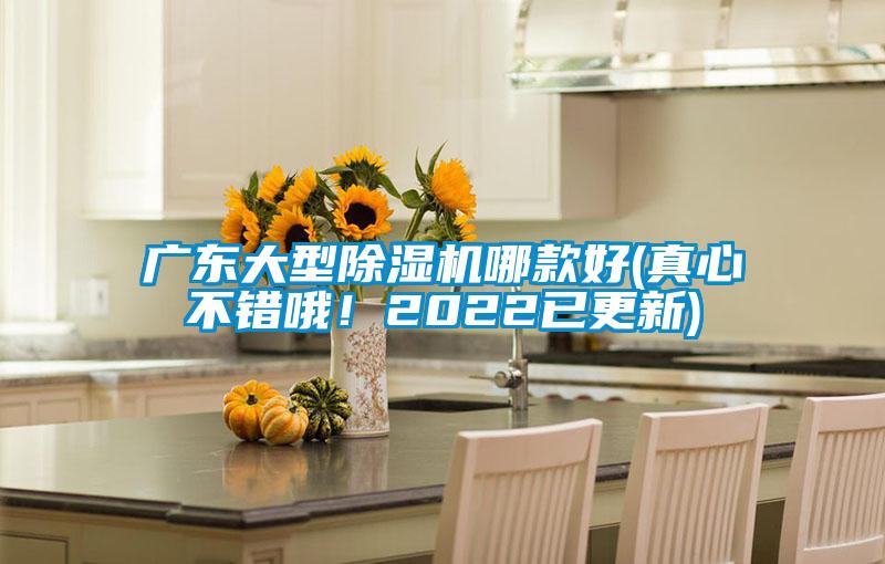 廣東大型除濕機哪款好(真心不錯哦！2022已更新)