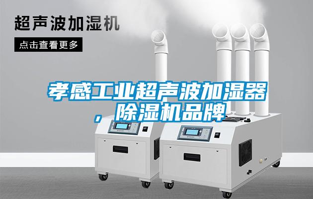 孝感工業超聲波加濕器，除濕機品牌