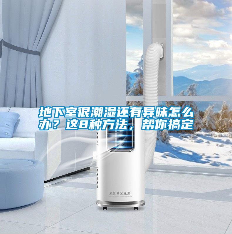 地下室很潮濕還有異味怎么辦？這8種方法，幫你搞定