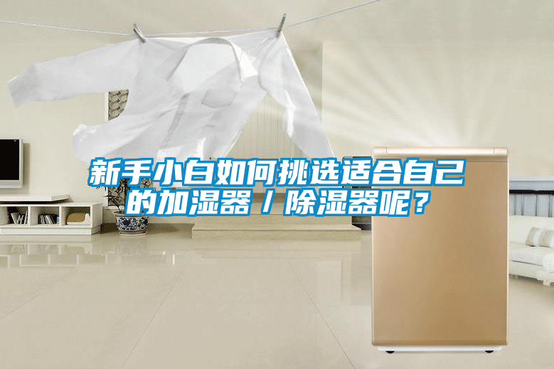 新手小白如何挑選適合自己的加濕器／除濕器呢？