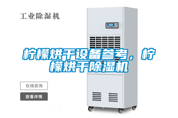 檸檬烘干設備參考，檸檬烘干除濕機