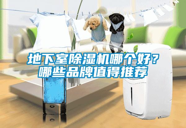 地下室除濕機哪個好？哪些品牌值得推薦