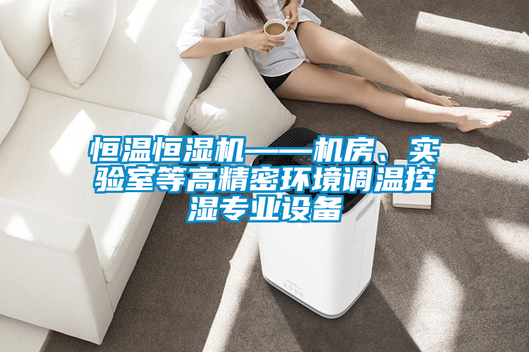 恒溫恒濕機——機房、實驗室等高精密環境調溫控濕專業設備