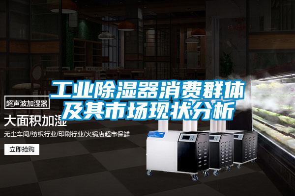 工業除濕器消費群體及其市場現狀分析