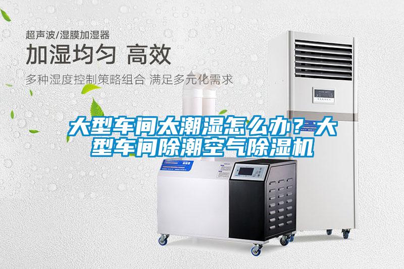 大型車間太潮濕怎么辦？大型車間除潮空氣除濕機