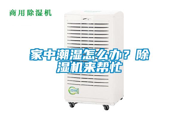 家中潮濕怎么辦？除濕機來幫忙