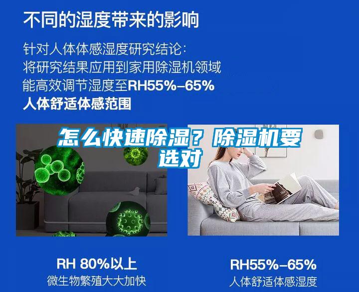 怎么快速除濕？除濕機要選對