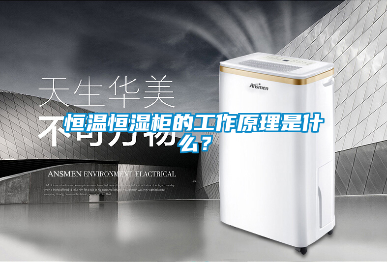 恒溫恒濕柜的工作原理是什么？