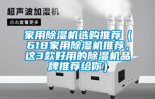 家用除濕機選購推薦（618家用除濕機推薦，這3款好用的除濕機品牌推薦給你）