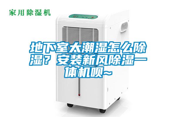 地下室太潮濕怎么除濕？安裝新風除濕一體機唄~